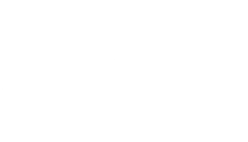 Wild Blueberry Games